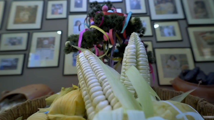 <span>Maíz: sabor milenario</span>