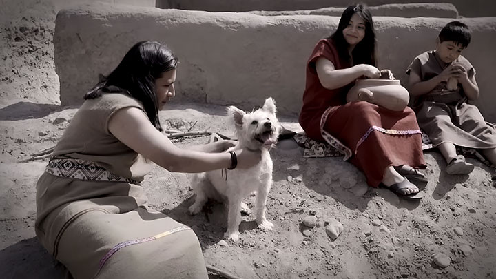 <span>Perros y gatos en el Perú</span>