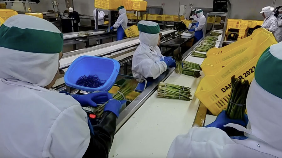 <span>El "boom" de las agroexportaciones </span>