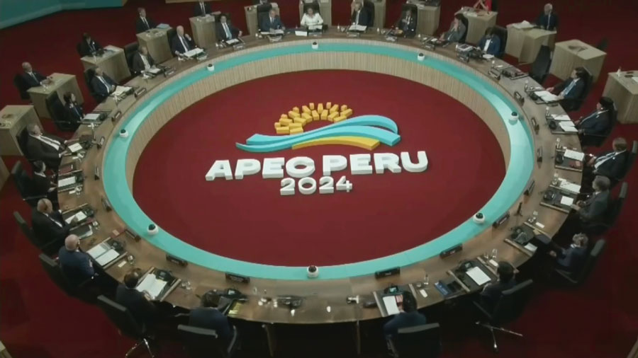 <span>Expectativas económicas por la APEC</span>