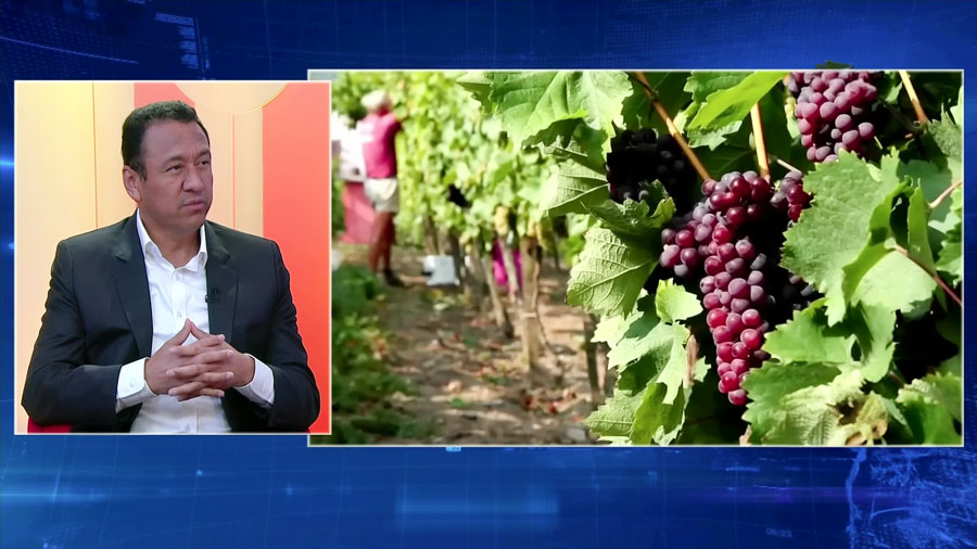 <span>Puntos clave para la agroexportación</span>