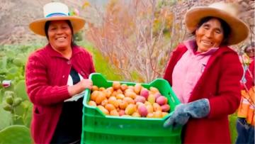 Resumen de la segunda parte del año 