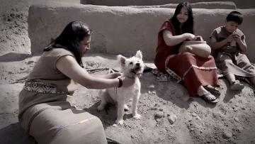 Perros y gatos en el Perú