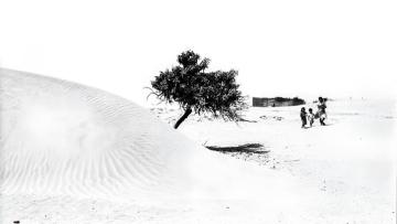 Retraros precolombinos