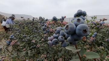 ¿Qué es la cooperación técnica internacional? ¿Qué es la cooperación técnica internacional?