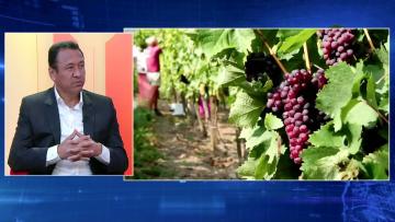 Puntos clave para la agroexportación