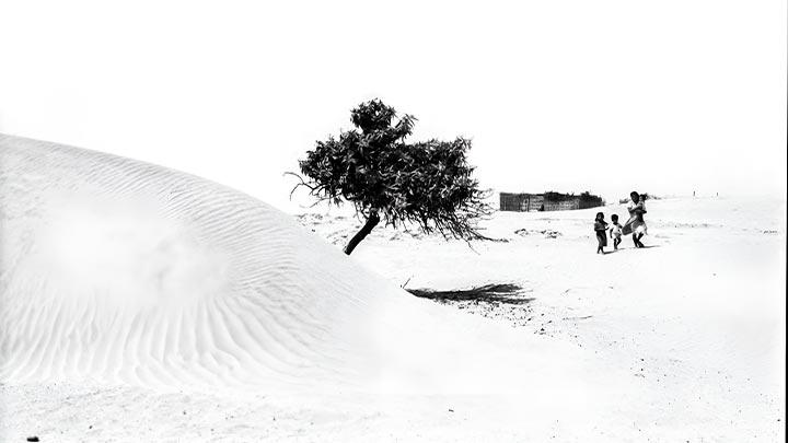 Retraros precolombinos 